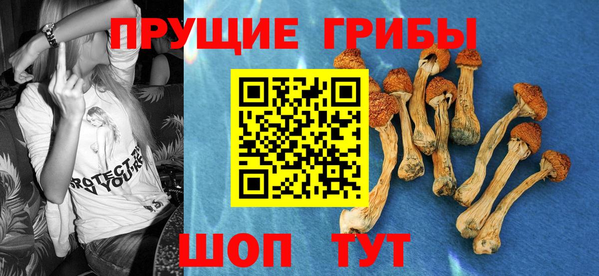 Галлюциногенные грибы ЛСД Кизляр