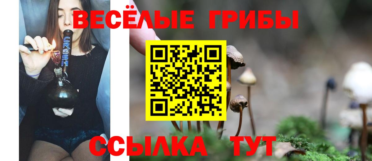 Кизляр  Галлюциногенные грибы Magic Shrooms  Вход с VPN 